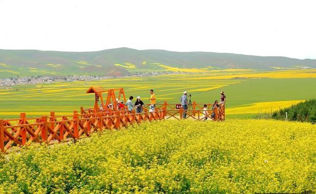 青島推動(dòng)文旅項(xiàng)目多領(lǐng)域、多業(yè)態(tài)、多層次發(fā)展